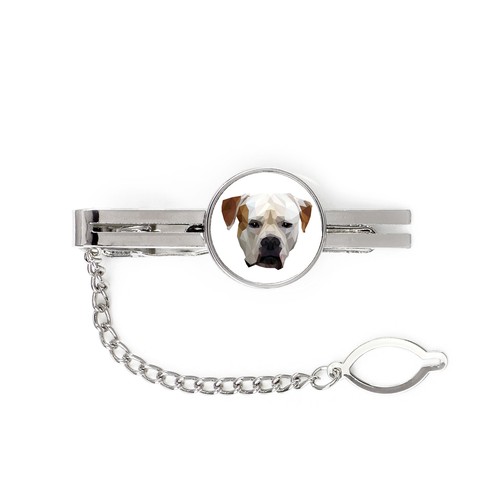 Bulldog americano spina