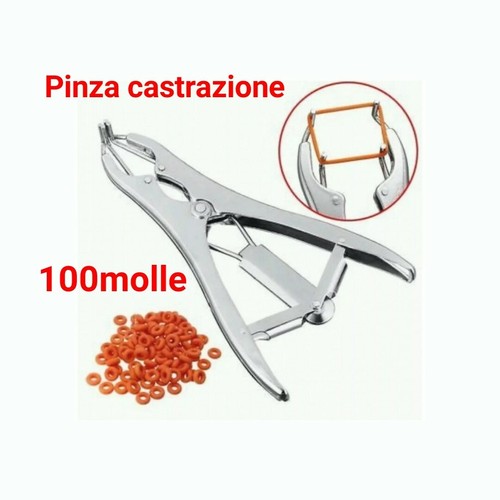 Pinza castrazione maiale 100 - pinza,