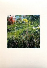 Antonio Pedretti - Serigrafia materica - firmata a mano - 35 x 50 cm. 1988