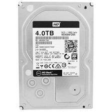 Western Digital WD4004FZWX 4