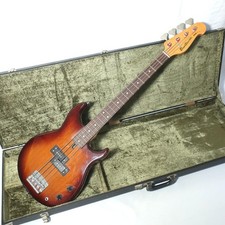 Custodia rigida per basso