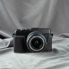 Borsa fotocamera Olympus PEN