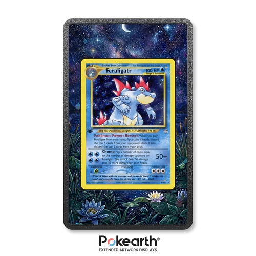 Feraligatr 111 custodia - 4/111,