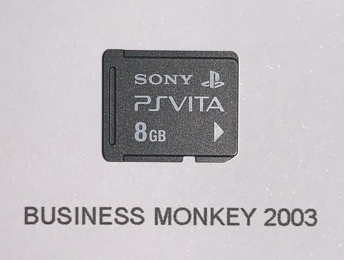Scheda memoria sony - memoria,