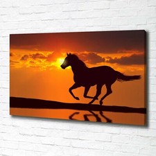 Tulup Dipinto Su Tela Pittura