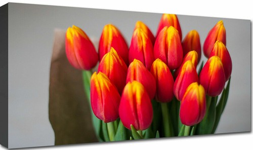 Quadri moderni 120x60 fiori - quadri,