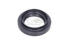 Anello simmer (uscita