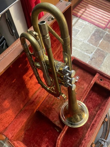 Cornetta sib getzen - cornetta,