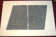 Pino Pinelli - Pittura G 2006