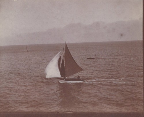 Devon gommone vela a - uk,