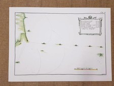 Pianta veduta Acqua dal Fanale