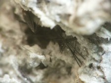 TN RARE MINERALS   VONSENITE