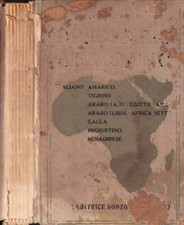Dizionario africano. Italiano Amarico Tigrino Arabo (AO, Egitto, Asia) Arabo (Li