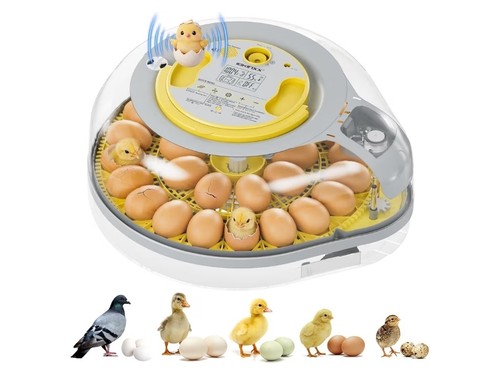 Incubatrice intelligente - , 26