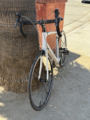 White and back specialized - white,