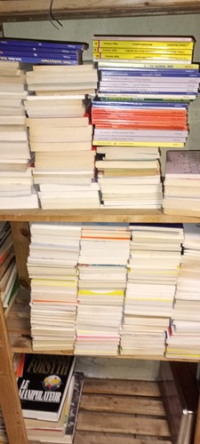 Lotto 250 libri collezione - 250,