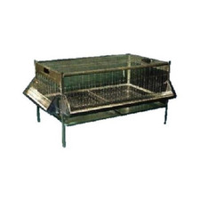 GABBIA BOX PER PULCINI CON