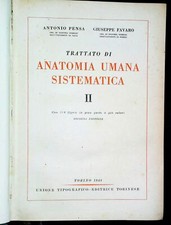 Trattato Di Anatomia Umana Sistematica. II - Antonio Pensa / Giuseppe Favaro ...