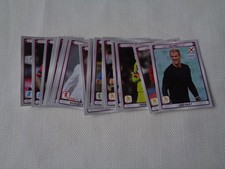 25 FIGURINE PANINI UEFA EURO