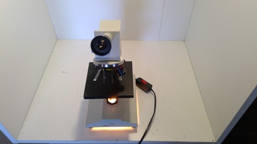 Microscopio bannid germania
