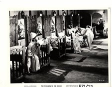 1B435 I sette nani in soccorso