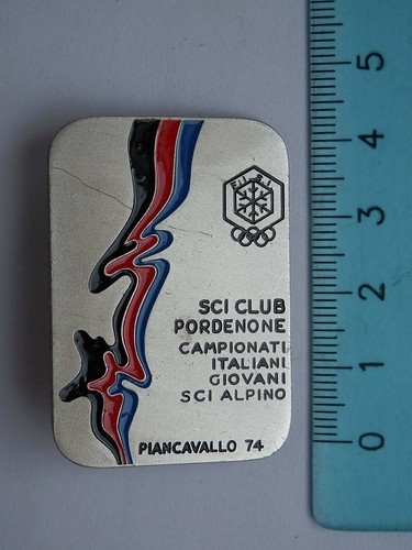 Sci ski alpino fisi - ski,