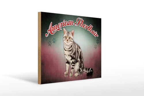 Targa legno gatto - in, 40x30