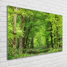 Glas-Bild Wandbilder Druck auf