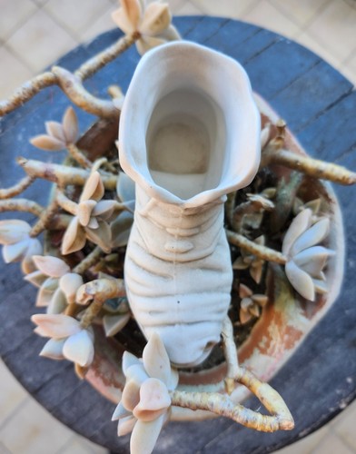 Capodimonte scatola box - scatola, in
