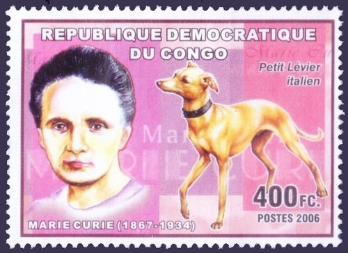 Congo 2006 mnh - 2006, premio