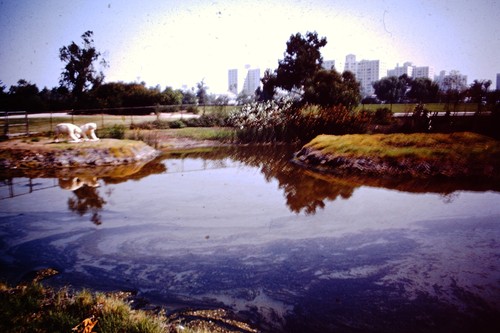 Luglio 1962 brea tar - la,