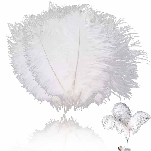 Pezzi piume struzzo - piume,