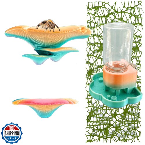 Set accessori per - set,