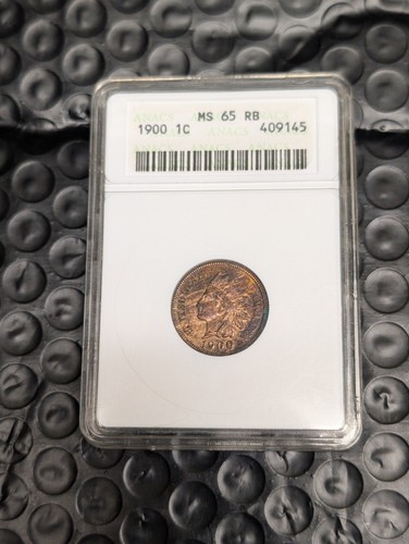 1900 testa di - ,