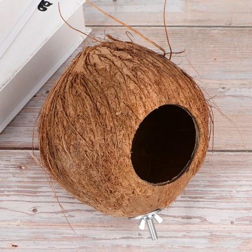 Noce cocco per pappagalli - per,