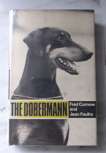The dobermann popular - the,