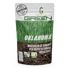 Greenmood Oklahoma 3 Kg miscuglio per tappeto erboso super resistente American Q