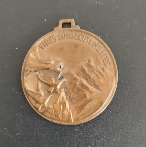 Medaglia militare alpini - medaglia,