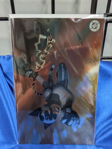 Absolute catwoman cover - catwoman, #1
