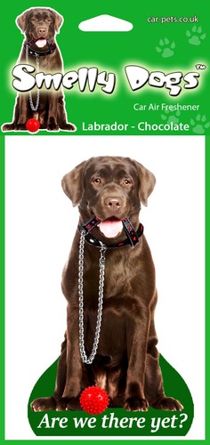 Regalo per cani - , labrador