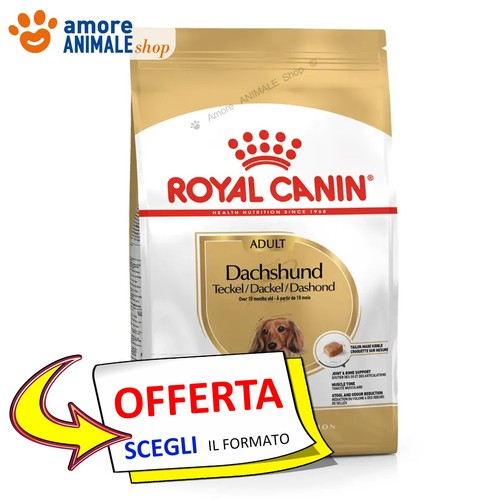 Royal canin dog adult - dog,