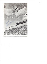 Marshall Wayne - Campione