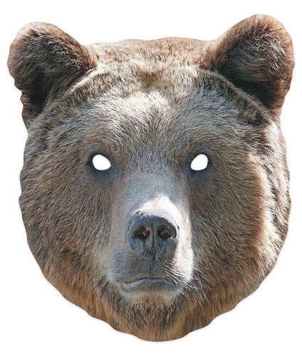 Orso animale carta - orso,
