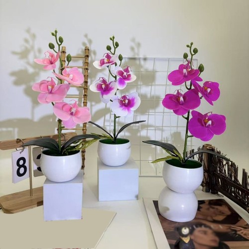 Fiore decorativo bassa cura - bassa,