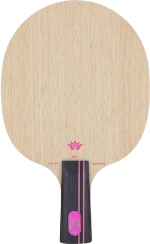 Racchetta ping pong con - racchetta,