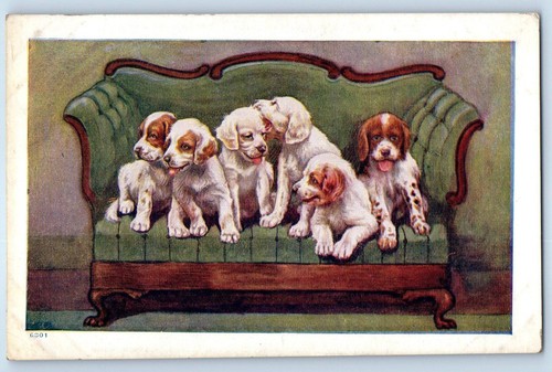 C1910 simpatici cuccioli cane - simpatici,