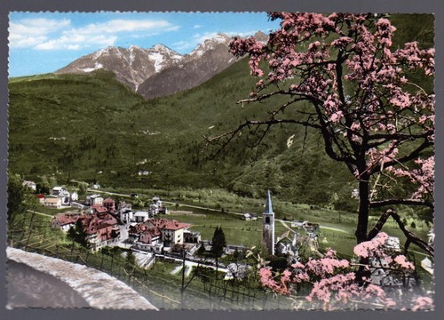 Crodo verbania cartolina - verbania,
