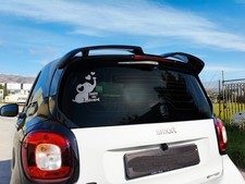 Spoiler tetto spoiler tuning