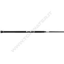 Shimano Grappler Type C