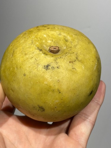 Antica pietra alabastro - antica,